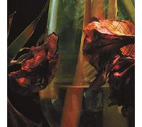 Hayvanlar Alemi - (Col) Psychedelia in Times of Turbulence