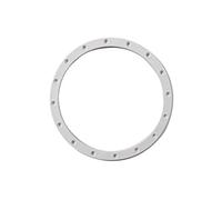 Hayward Bride pour projecteur 300 W