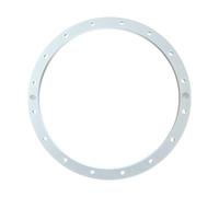 Hayward - Bride pour projecteur de Piscine Kripsol - Blanc - 500615001500