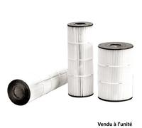 Cartouche pour filtre Hayward C250