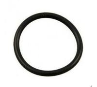 Hayward Joint torique CX250Z7 pour filtre à cartouche Star-Clear II Noir