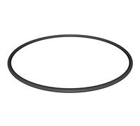 Hayward CX900F Filter Head O-Ring