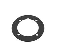Hayward Joint de bride refoulement SP1408-1411(X1) SPX1408C pour pièces à sceller