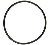 Hayward Joint torique de rechange SPX1500P pour filtre certaines pompes