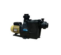 Pompe filtration Hayward Super Pump Pro (Superpump Pro) - - Type 0,75 cv - monophasé - - 11,5 m3/h