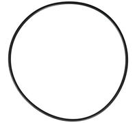 Hayward SPX0704F Joint torique de Rechange pour valves multiports et Filtre à Sable