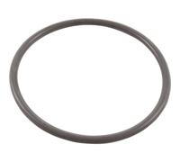 Hayward Joint torique SPX2300Z4 – couvercle préfiltre pompe Max-Flo XL