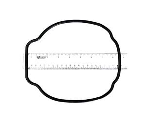 Hayward Spx3200t boîtier Joint torique