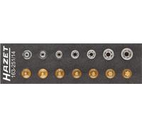 HAZET 163-251/14 Jeu d'outils ∙ TORX® ∙ Carré creux 1/4 pouce (6,3 mm) ∙ Profil TORX® extérieur, profil TORX® intérieur ∙ E4 - E11 ∙ T10 - T40 ∙ Nombre d'outils : 14