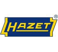 HAZET Clé dynamométrique 6110-1CT I Entraînement carré 10 mm (3/8 pouces), cliquet réversible 5-60 Nm, précision 2% I Outils dynamométriques de haute précision Premium