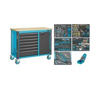 HAZET HAZET Établi mobile Assistent 179NW, assortiment 179NW-7/210, 210 pcs, tiroirs plats : 6 x 81 x 522 x 398 mm, tiroir haut : 1 x 166 x 522 x 398 mm Quantité:1