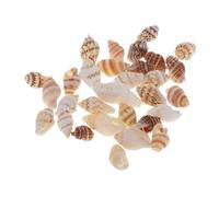 HBALDTEDC Coquilles de mer Coquilles de mer mixtes, Coquillages for bricolage Lot de 30 coquillages Palourdes Escargots Coquilles Saint-Jacques Décoration de plage - Objet décoratif