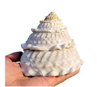 HBALDTEDC Grand coquillage naturel de la plage de la mer, Coquillage naturel de grande taille 9-12 cm Accessoires de décoration for fête, mariage, maison(10~11cm)