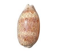 HBALDTEDC Grand coquillage naturel de la plage de la mer, Coquillages 6-9 cm spécimen escargot naturellement beau for fête mariage décorations for la maison accessoires(7~8cm)