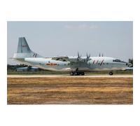 Chinese Y-8 - 1:144e - Hobby Boss G