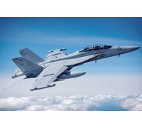 (HBB85814) - Hobbyboss 1:48 - EA-18G Growler