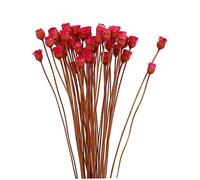 Hbbgdiy Bouquet de Marguerite séchée 50 tiges Décoration de Fleurs sèches Naturelles dans Une Table en Vase Bouquet Fleurs sèches Rouges Florales, Naturelles, Fausses pour