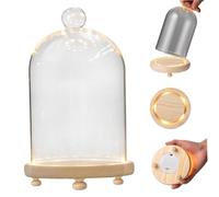 Hbbgdiy Dôme en Verre avec Base Cloche d'affichage Minimaliste avec Base éclairée, dôme d'affichage en Verre alimenté par Batterie pour Figurines, Fleurs, Objets de Collection, décoration de Table ma