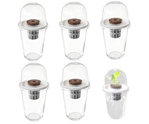 Hbbgdiy Kit de système de Culture hydroponique, lot 5 gobelets hydroponiques en Plastique Transparent, kit démarrage Germination Plantes antidérapant pour la Propagation des semis Jardin