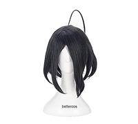 HBYLEE Anime Coser pruik Sword and Shield-Allister Perruque courte noire grise élégante résistante à la chaleur + bonnet de perruque [couleur unique]