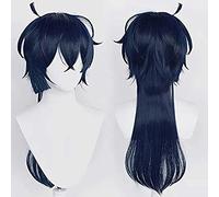 HBYLEE HGLLL Perruque de cosplay animée, l'étude de cas de Vanitas Vanitas Cosplay Perruque longue bleue avec bonnet de perruque gratuit pour Noël, carnaval, fête, Halloween, cosplay