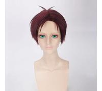 HBYLEE Perruque Anime Role Play pour Wakamatsu Hirotaka Monthly Girls Nozakikun Cosplay Wigs Men Party Cos 30 cm Cheveux synthétiques Rouge Marron [Couleur : marron]