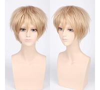 HBYLEE - Perruque de cosplay anime pour Carnaval Nightlife CluI Party Dress Up Wig Cos Wig Juvénile Cheveux courts Couleur universelle pour homme Perruque Cosplay Anime Wig Couleur : Pl-002-2#Linen