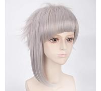 HBYLEE - Perruque de cosplay pour chien Morematch Bungo Stray Dogs Nakajima Atsushi - Courte - Couleur : gris argenté