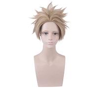 HBYLEE Perruque de cosplay pour Takami Keigo Hawks - Courte - Perruque brwon - Anime Role Play - Perruque d'Halloween - Accessoires [Couleur : -]
