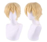 HBYLEE Perruque parfaite pour les fêtes quotidiennes, cosplay, faux générateur, chaîne humaine, électrique, blond sub-foncé, cheveux courts ondulés [Couleur : selon le plan]