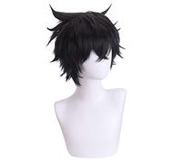 HBYLEE Role Play Perruque pour Tate no Yuusha no Nariagari Iwatani Cosplay Perruque courte noire Anime Wigs [Couleur : selon le plan]