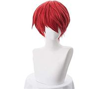 HBYLEE Wig Anime Cosplay Assassination Classroom Karma Akabane/Akashi Seijuro/Sasori Perruque courte flamme rouge Cosplay perruque fibre haute température [Couleur : selon plan]