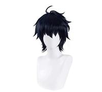 HBYLEE Wig Anime Cosplay Yuichiro Hyakuya Cosplay Seraph de la fin Cosplay Hommes Perruque synthétique résistante à la chaleur Perruque Anime Cosplay Perruques [Couleur : selon le plan]