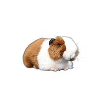 HCGX Poupée de Cochon d'Inde Marron Simulation en Peluche