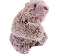 HCGX Poupée en Peluche paresseuse, Simulation du Monde Animal, Cadeau éducatif Scientifique, décoration de la Maison (Folivora)