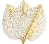 HCLZOE Grandes Feuilles de Palmier SéChéEs Blanches - Qualité Premium - 3 PièCes SéRies ÉLéGant Moderne de Maison et de Mariage - Art Mural