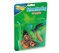 HCM Kinzel 48141 Insect Lore Cycle de Vie Papillon en Plastique Multicolore Moyen