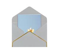 HCVXBSA Candyman Cartes vierges avec enveloppes, pour toutes les occasions, note scintillante de qualité supérieure pour anniversaire, Noël, mariage, 10,2 x 15,2 cm, gris clair