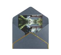 HCVXBSA Cartes vierges avec enveloppes, motif animaux féroces dans les rivières de la jungle, pour toutes les occasions, note scintillante de qualité supérieure pour anniversaire, Noël, mariage, 10,2