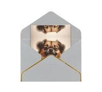 HCVXBSA Jolies cartes vierges de Poméranie avec enveloppes, pour toutes les occasions, note scintillante de qualité supérieure pour anniversaire, Noël, mariage, 10,2 x 15,2 cm