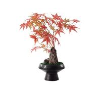 HCZKIUJY Arbre bonsaï Artificiel, Arbre bonsaï Artificiel de Style Chinois, Feuille d'érable Rose Artificielle, décoration pour Salon, Chambre, Bureau ou Bureau, Plantes en Pot en Form