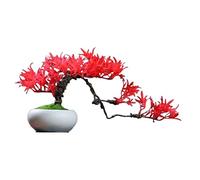 HCZKIUJY Arbre bonsaï Artificiel, Grand Arbre bonsaï Artificiel de 40 cm (C)