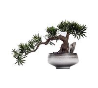 HCZKIUJY Arbre bonsaï Artificiel, pin Lohan Artificiel, Simulation de pin de Bienvenue, Plante en céramique, Fausses Plantes en Pot, Ornement d'intérieur, décoration de Bureau, Faux AR