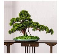 HCZKIUJY Bonsaï Artificiel simulé, pin de Bienvenue, Grand bonsaï d'intérieur, Fausses Plantes Vertes en Pot, décoration de Salon, d'hôtel ou de Bureau, Fausse Plante décorative (A)