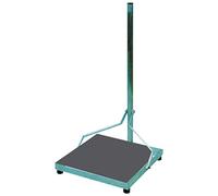 hd-line TELESTAR Support de Balcon (Acier, pour Dalle de béton 50 × 50 cm, Hauteur 1 m)