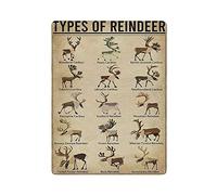 Hdadwy Métal Tin Signe Rennes Fun World Education Science Classe Infographie Vintage Tin Affiche Métal Signe Décoration Murale Pays Cuisine Maison Garage Décor 16 "x 12"