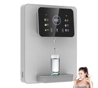 HDaspijh Distributeur d'eau Mural sur Secteur avec SéCurité Enfant, DéBit d'eau Quantitatif, Eau Chaude Et Froide, éCran Tactile, Distributeur d'eau Chaude InstantanéE pour Bureaux Et Cantines,B