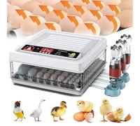 HDaspijh Incubateur Et Couveuse D'œUfs, Retournement Automatique des œUfs + Ajout Automatique d'eau + Double Alimentation, pour éQuipement D'Incubation De Poulet, d'oie, D'Oiseau Et De Caille,192eggs