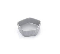HDBCYUAZ Lot de 10 bols à sauce soja en mélamine de forme pentagonale, mini assiettes pour apéritif, sushis, soja, collations, desserts, plats d'assaisonnement (B)