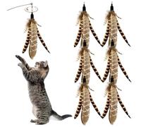 HDBHSBE 6pcs Cat Plumes Jouet, Plumes d'oiseau Naturel Recharge Les Baguettes de Baguettes, Remplacement des Jouets interactifs pour Chats Chaton Exercice de grattage